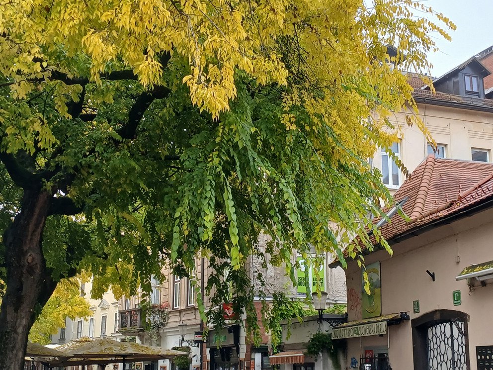 Oktober 2025 in Ljubljana (Slowenien)