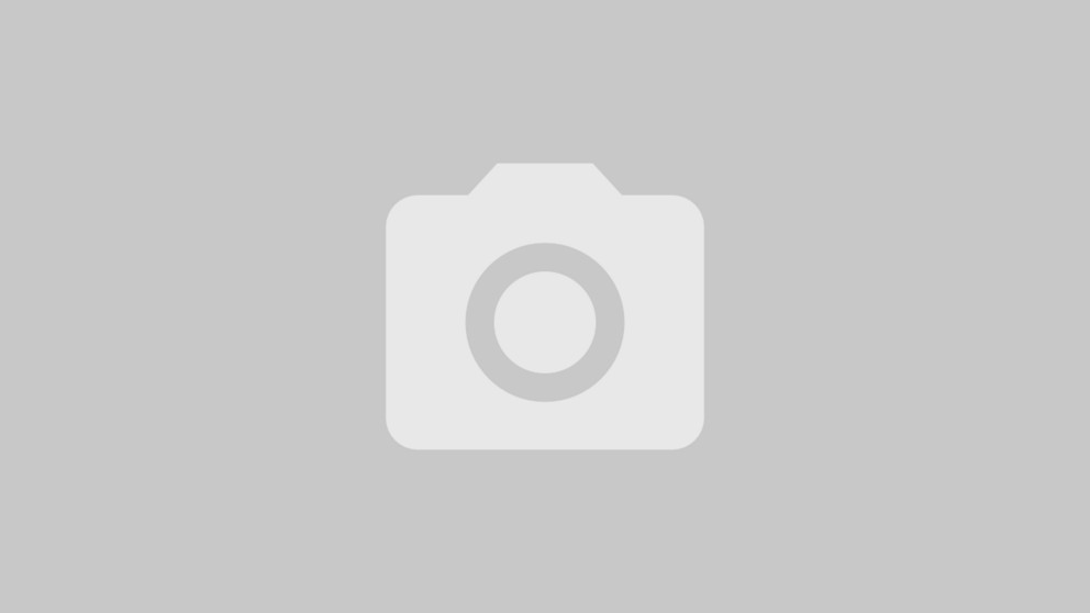 Dekoratives Bannerbild